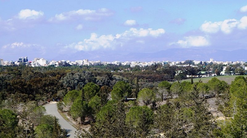 Athalassa Forest Park view